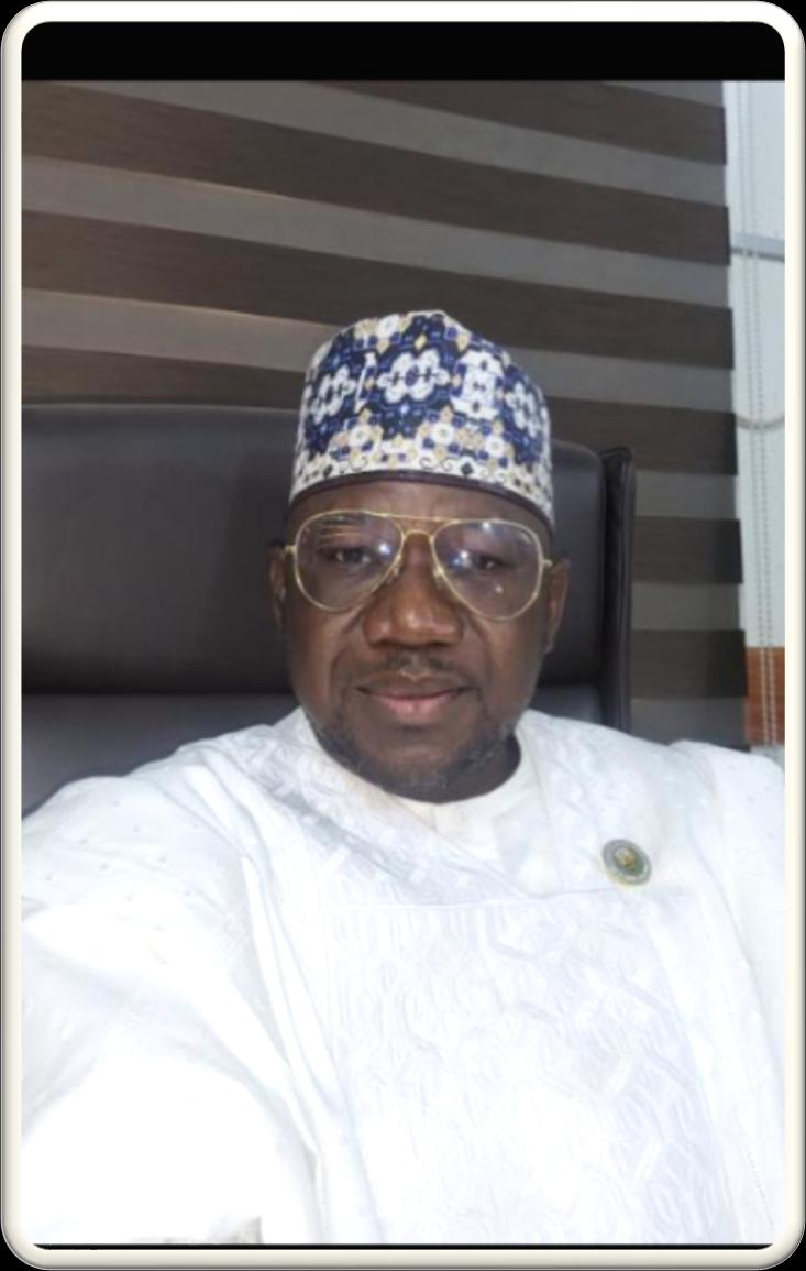 Portrait of Dr. Kabir Umar Dasuki